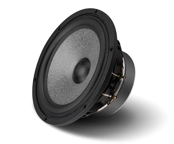 惠威 C8 中低音扬声器深度解析 发烧友的经典之选