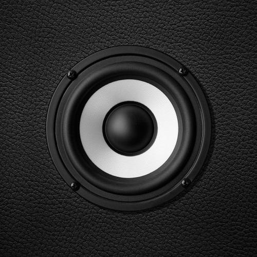 黑白扬声器 光影对话中的沉默之声